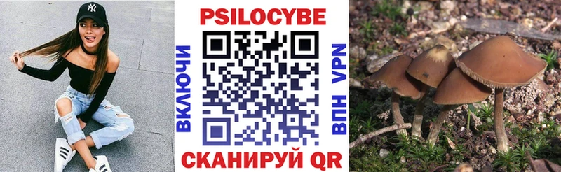 Псилоцибиновые грибы Psilocybine cubensis  дарнет шоп  Красноуральск 